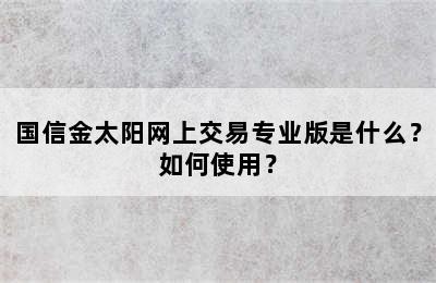 国信金太阳网上交易专业版是什么？如何使用？