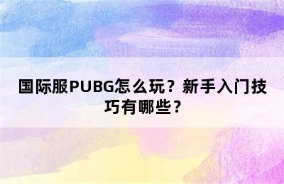 国际服PUBG怎么玩？新手入门技巧有哪些？