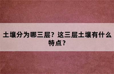 土壤分为哪三层？这三层土壤有什么特点？