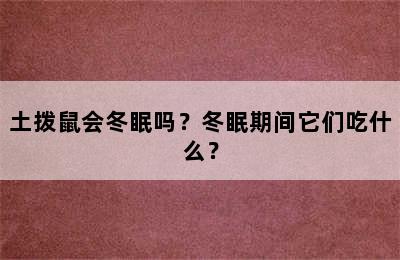 土拨鼠会冬眠吗？冬眠期间它们吃什么？