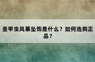 圣甲虫风暴坠饰是什么？如何选购正品？