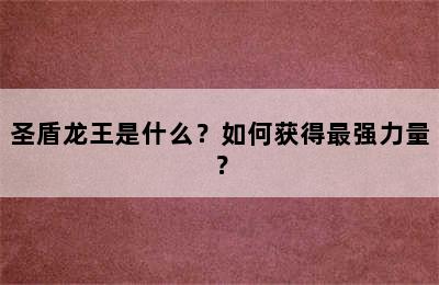 圣盾龙王是什么？如何获得最强力量？