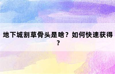 地下城割草骨头是啥？如何快速获得？