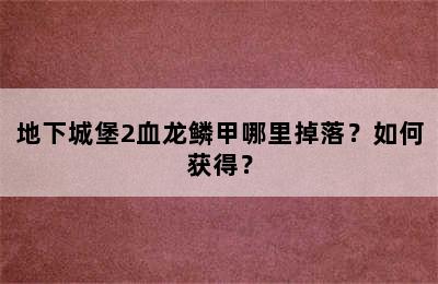 地下城堡2血龙鳞甲哪里掉落？如何获得？