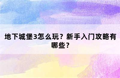 地下城堡3怎么玩？新手入门攻略有哪些？