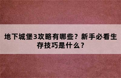 地下城堡3攻略有哪些？新手必看生存技巧是什么？