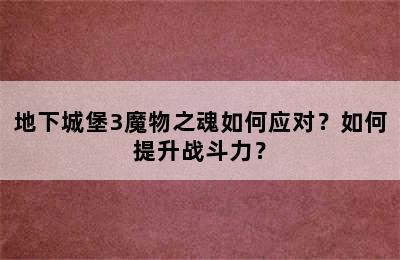 地下城堡3魔物之魂如何应对？如何提升战斗力？