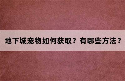 地下城宠物如何获取？有哪些方法？