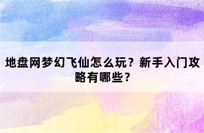 地盘网梦幻飞仙怎么玩？新手入门攻略有哪些？