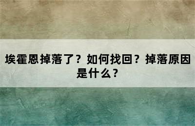 埃霍恩掉落了？如何找回？掉落原因是什么？