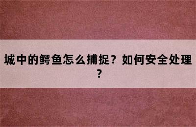 城中的鳄鱼怎么捕捉？如何安全处理？