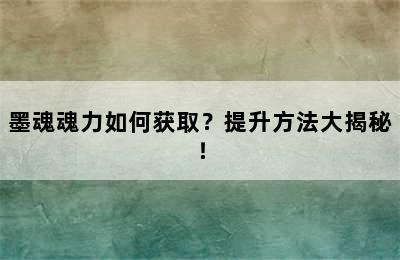 墨魂魂力如何获取？提升方法大揭秘！