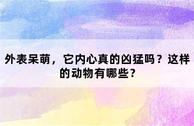 外表呆萌，它内心真的凶猛吗？这样的动物有哪些？