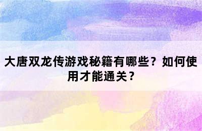 大唐双龙传游戏秘籍有哪些？如何使用才能通关？