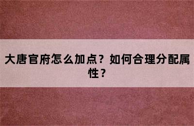 大唐官府怎么加点？如何合理分配属性？