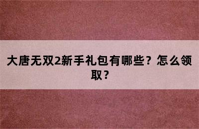 大唐无双2新手礼包有哪些？怎么领取？