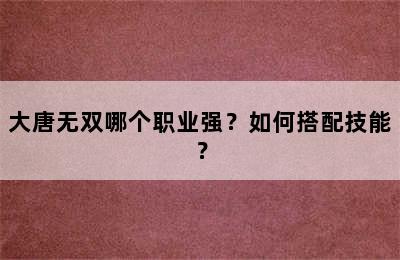 大唐无双哪个职业强？如何搭配技能？