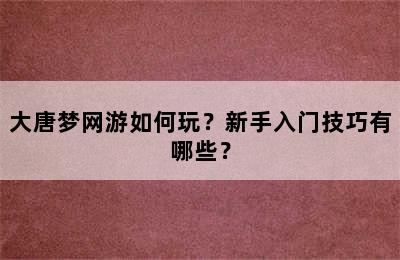 大唐梦网游如何玩？新手入门技巧有哪些？