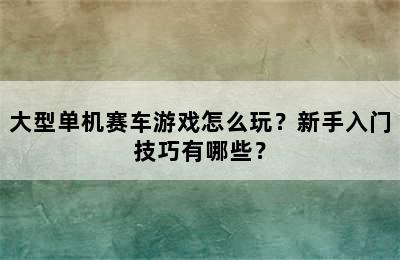 大型单机赛车游戏怎么玩？新手入门技巧有哪些？