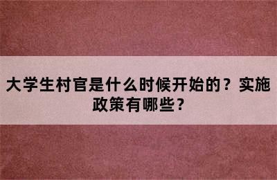 大学生村官是什么时候开始的？实施政策有哪些？