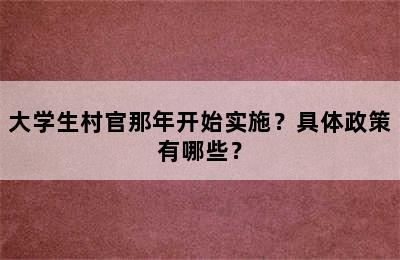 大学生村官那年开始实施？具体政策有哪些？