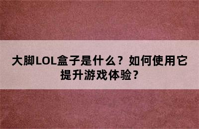 大脚LOL盒子是什么？如何使用它提升游戏体验？