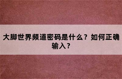 大脚世界频道密码是什么？如何正确输入？