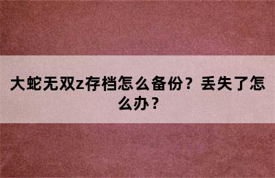 大蛇无双z存档怎么备份？丢失了怎么办？