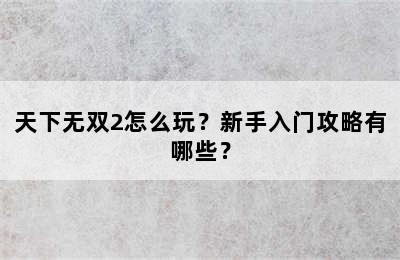 天下无双2怎么玩？新手入门攻略有哪些？