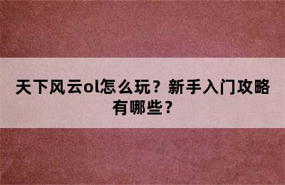 天下风云ol怎么玩？新手入门攻略有哪些？