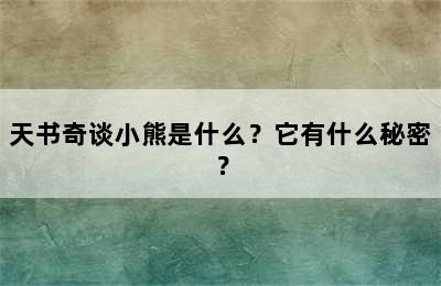 天书奇谈小熊是什么？它有什么秘密？