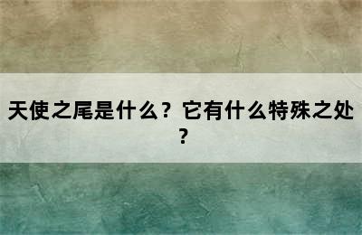 天使之尾是什么？它有什么特殊之处？