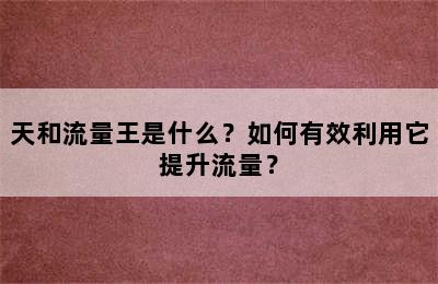 天和流量王是什么？如何有效利用它提升流量？