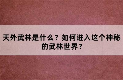 天外武林是什么？如何进入这个神秘的武林世界？