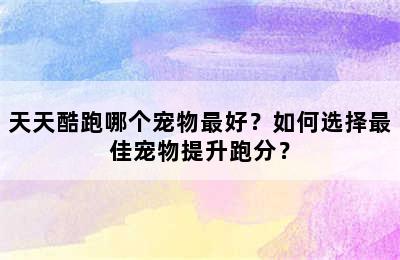 天天酷跑哪个宠物最好？如何选择最佳宠物提升跑分？