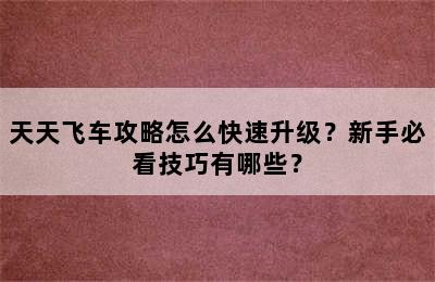 天天飞车攻略怎么快速升级？新手必看技巧有哪些？