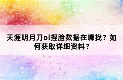 天涯明月刀ol捏脸数据在哪找？如何获取详细资料？