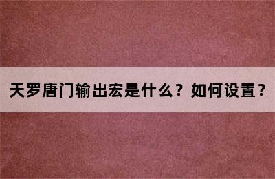 天罗唐门输出宏是什么？如何设置？