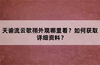 天谕流云歌祤外观哪里看？如何获取详细资料？