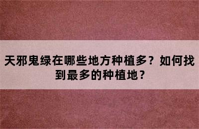 天邪鬼绿在哪些地方种植多？如何找到最多的种植地？