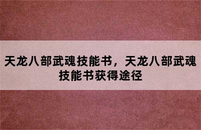 天龙八部武魂技能书，天龙八部武魂技能书获得途径