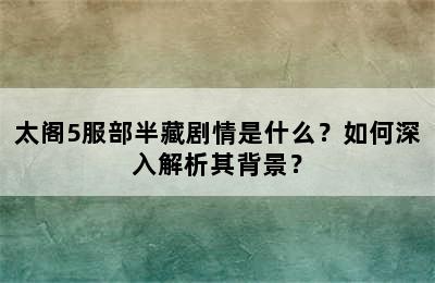 太阁5服部半藏剧情是什么？如何深入解析其背景？