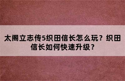 太阁立志传5织田信长怎么玩？织田信长如何快速升级？