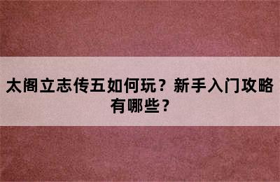 太阁立志传五如何玩？新手入门攻略有哪些？