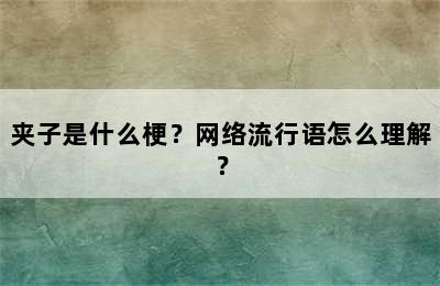 夹子是什么梗？网络流行语怎么理解？