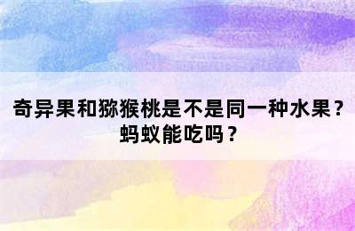 奇异果和猕猴桃是不是同一种水果？蚂蚁能吃吗？