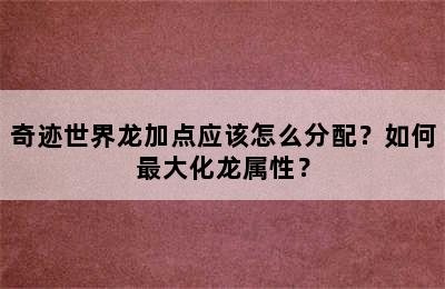 奇迹世界龙加点应该怎么分配？如何最大化龙属性？