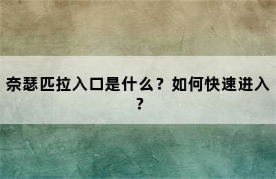 奈瑟匹拉入口是什么？如何快速进入？