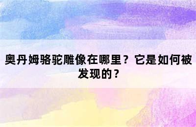 奥丹姆骆驼雕像在哪里？它是如何被发现的？