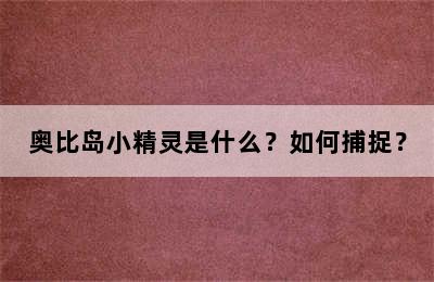 奥比岛小精灵是什么？如何捕捉？